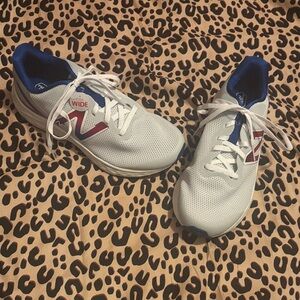 NWT New Balance Fresh Foam Arishi Wide